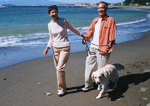 「大阪での引越しをスムーズに！ペットを安全に移動させるための完全ガイド」