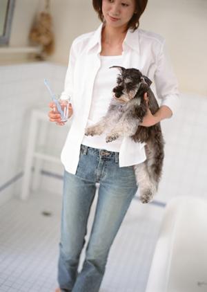 伊勢原で信頼できる動物病院を見つけるための完全ガイド：健康診断から急病対応まで